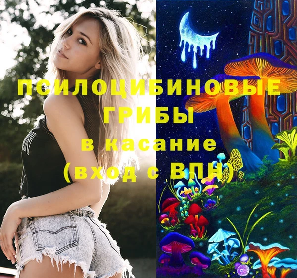 амф Алзамай