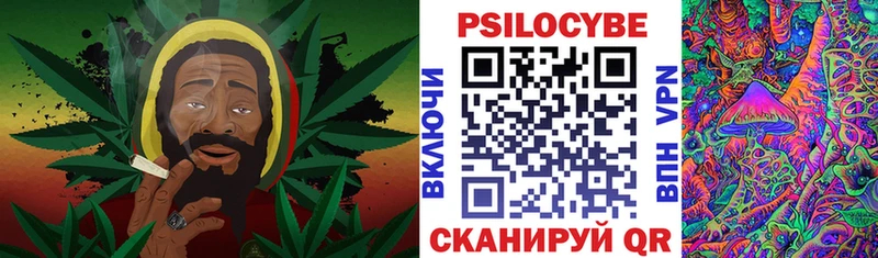 хочу   Дыгулыбгей  Псилоцибиновые грибы мухоморы 